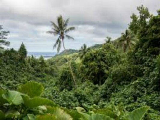 Bilan carbone et environnement